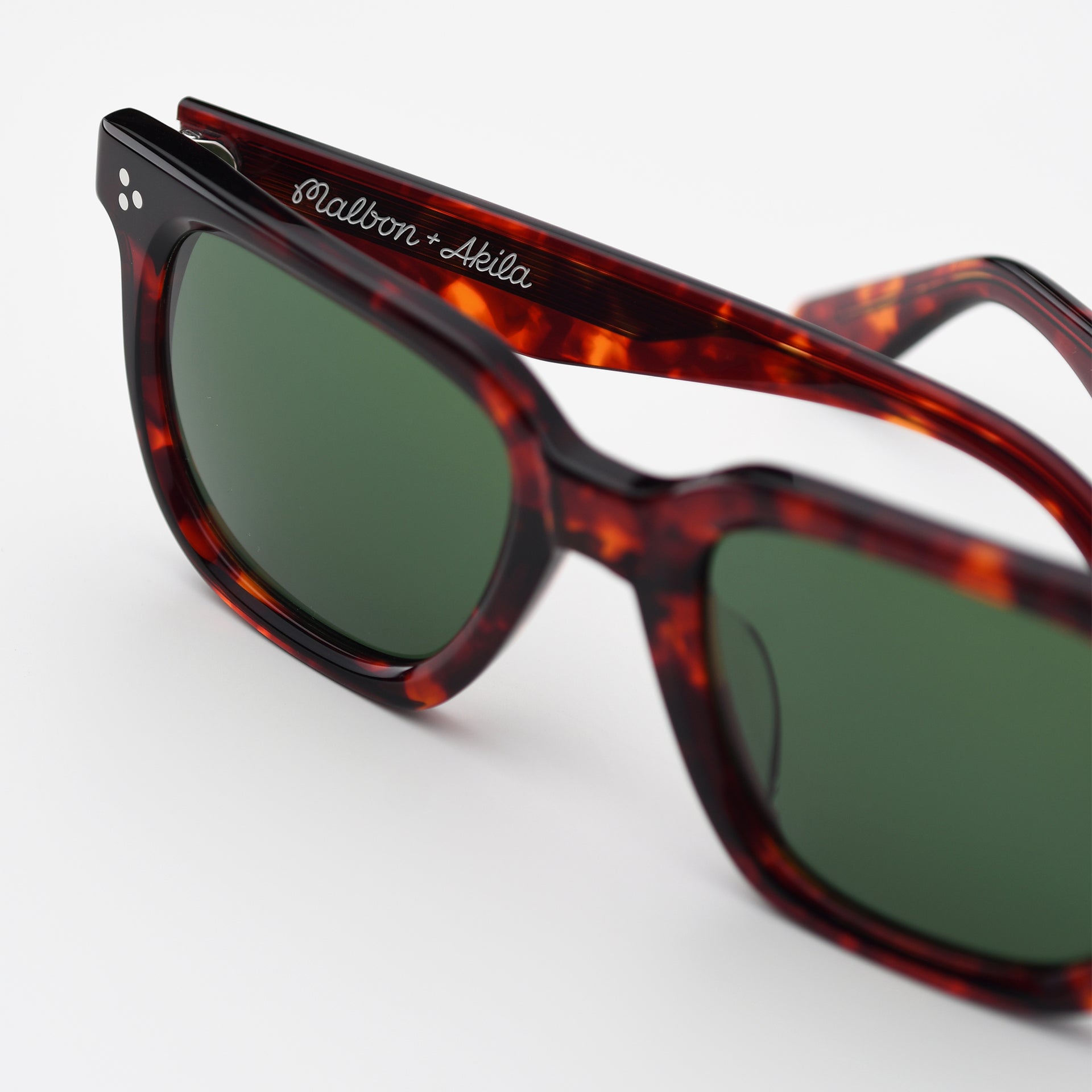 Tortoise / Green