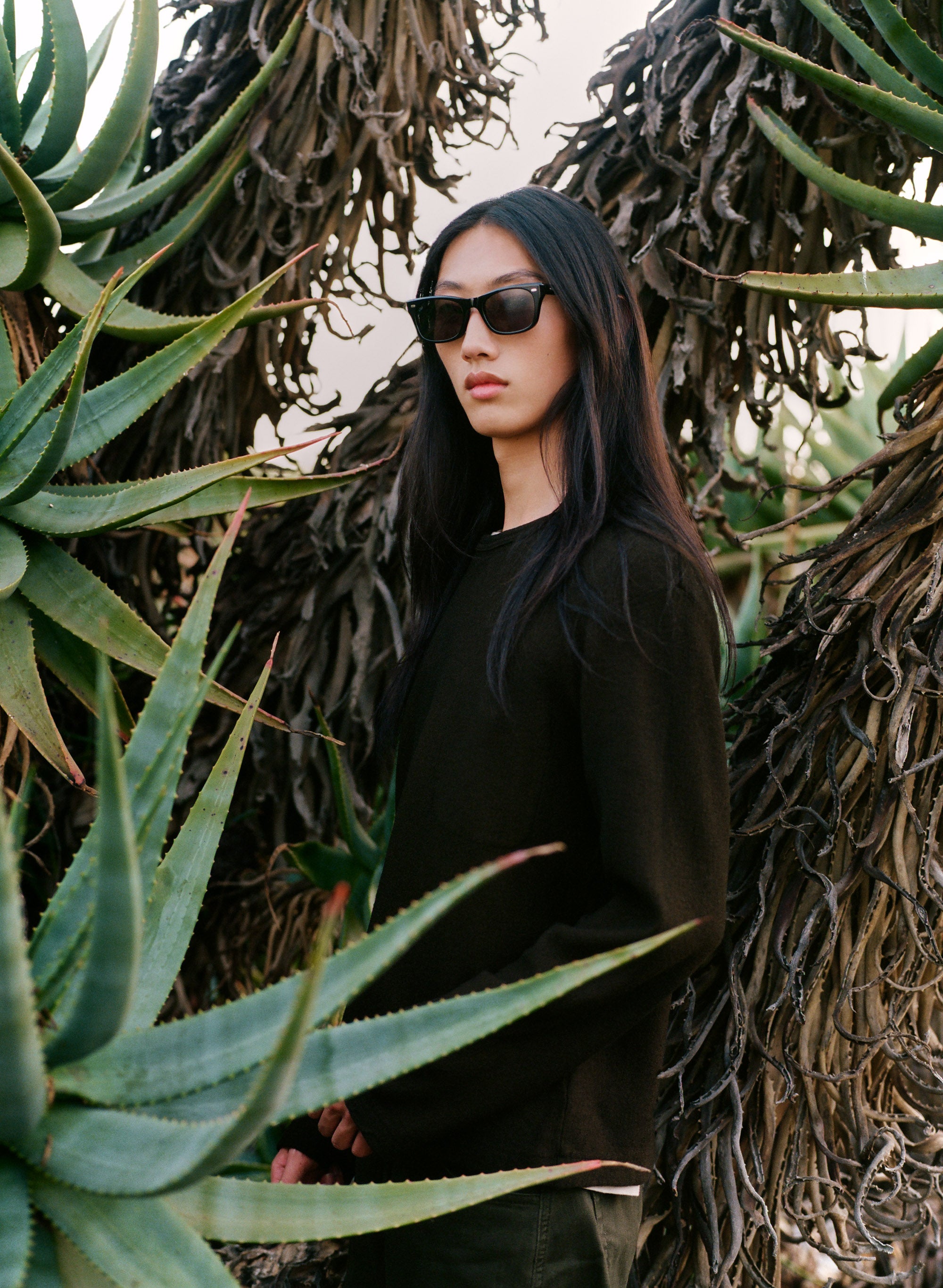 AKILA　AURA　ベッコウ風　ピンクブラウンレンズ Spring 2 2026 – AKILA