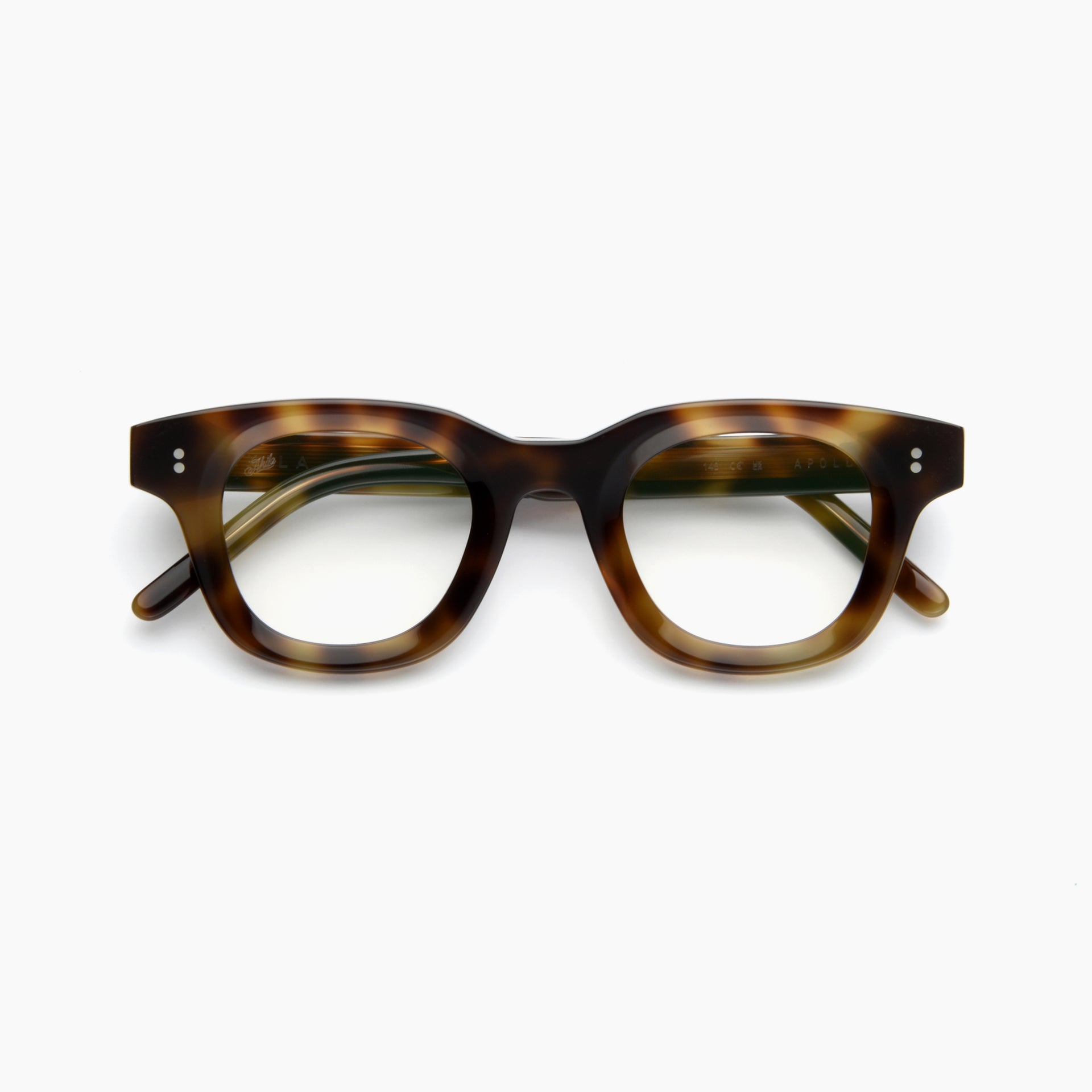 Olive Tortoise