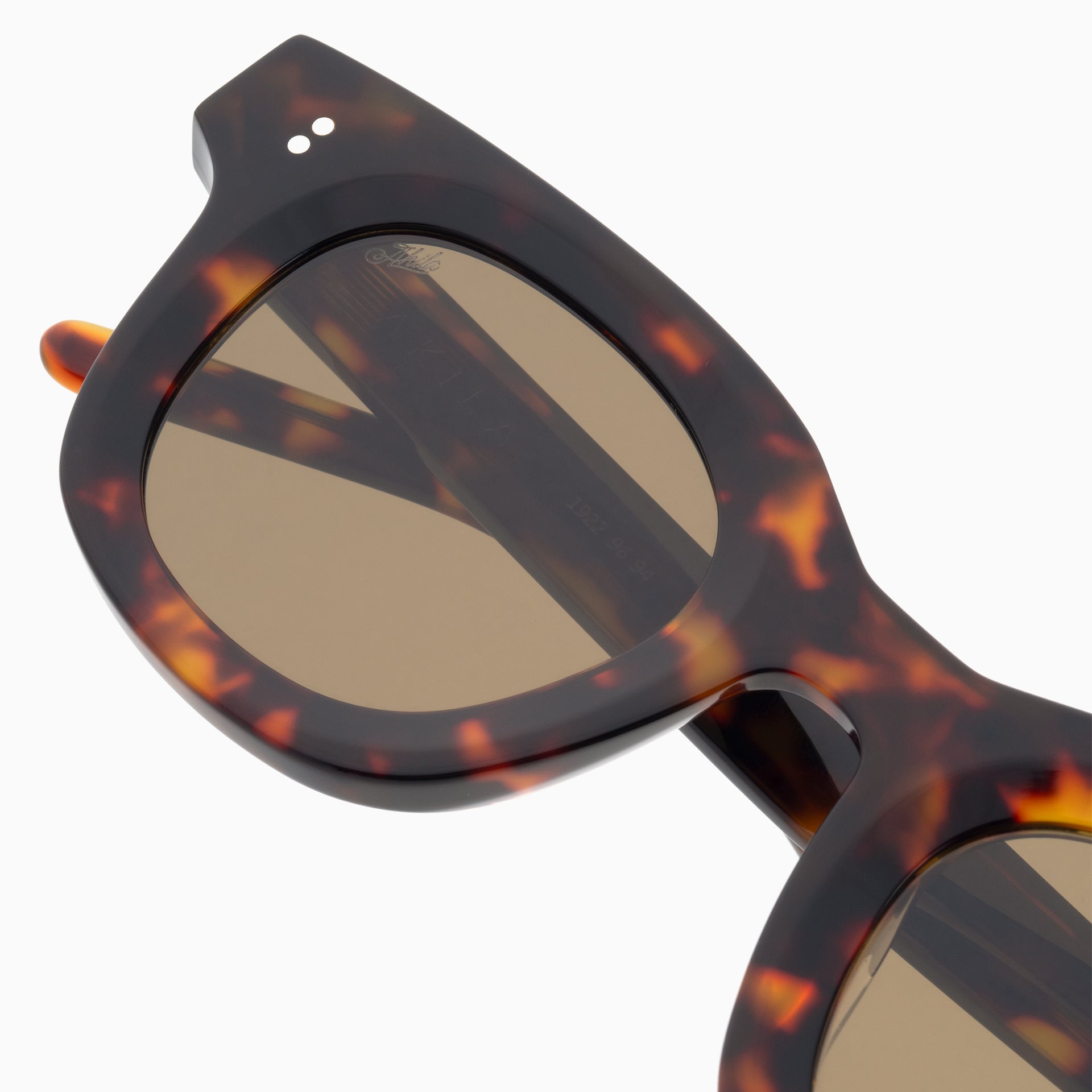 Tortoise / Brown