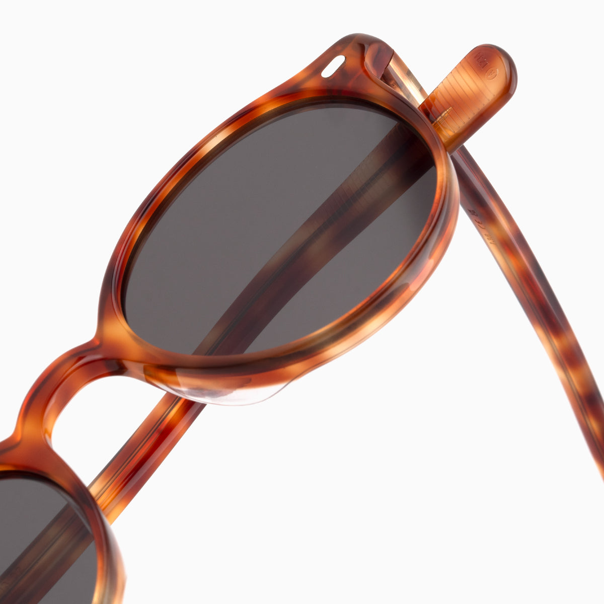 Toffee Tortoise / Asphalt