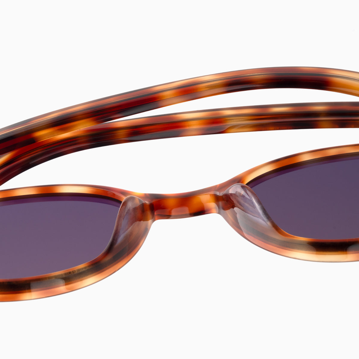 Toffee Tortoise / Asphalt