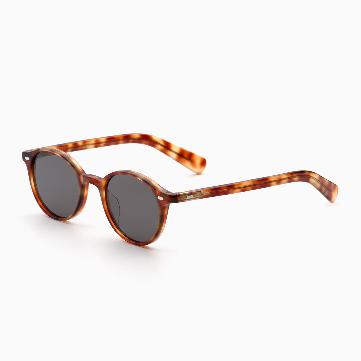 Toffee Tortoise / Asphalt