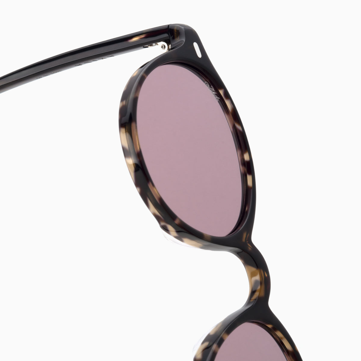 Tortoise / Mauve