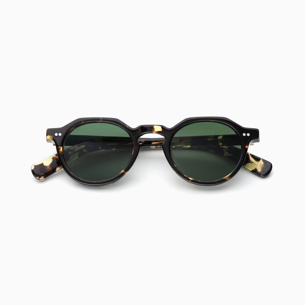 Tokyo Tortoise / Bottle Green