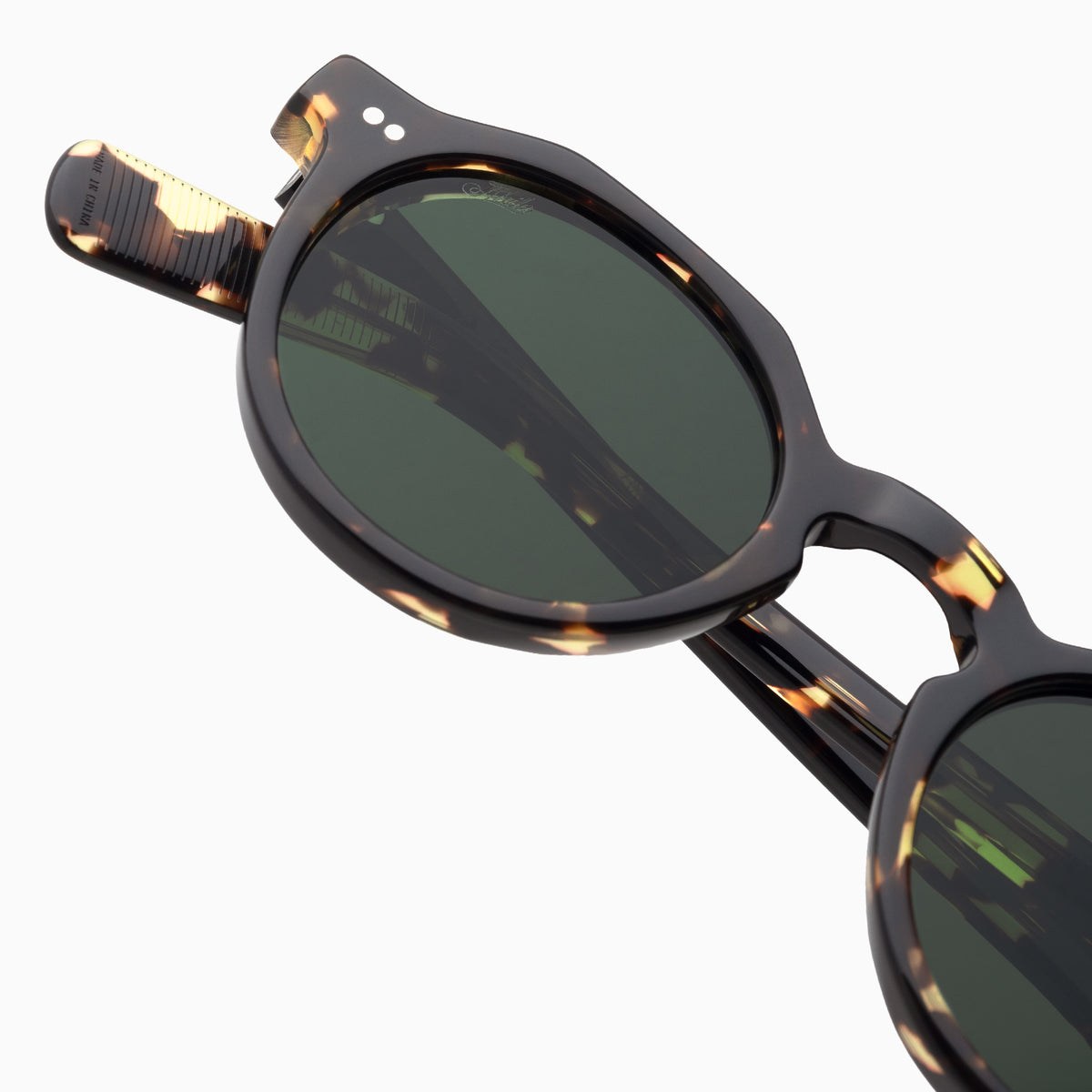 Tokyo Tortoise / Bottle Green