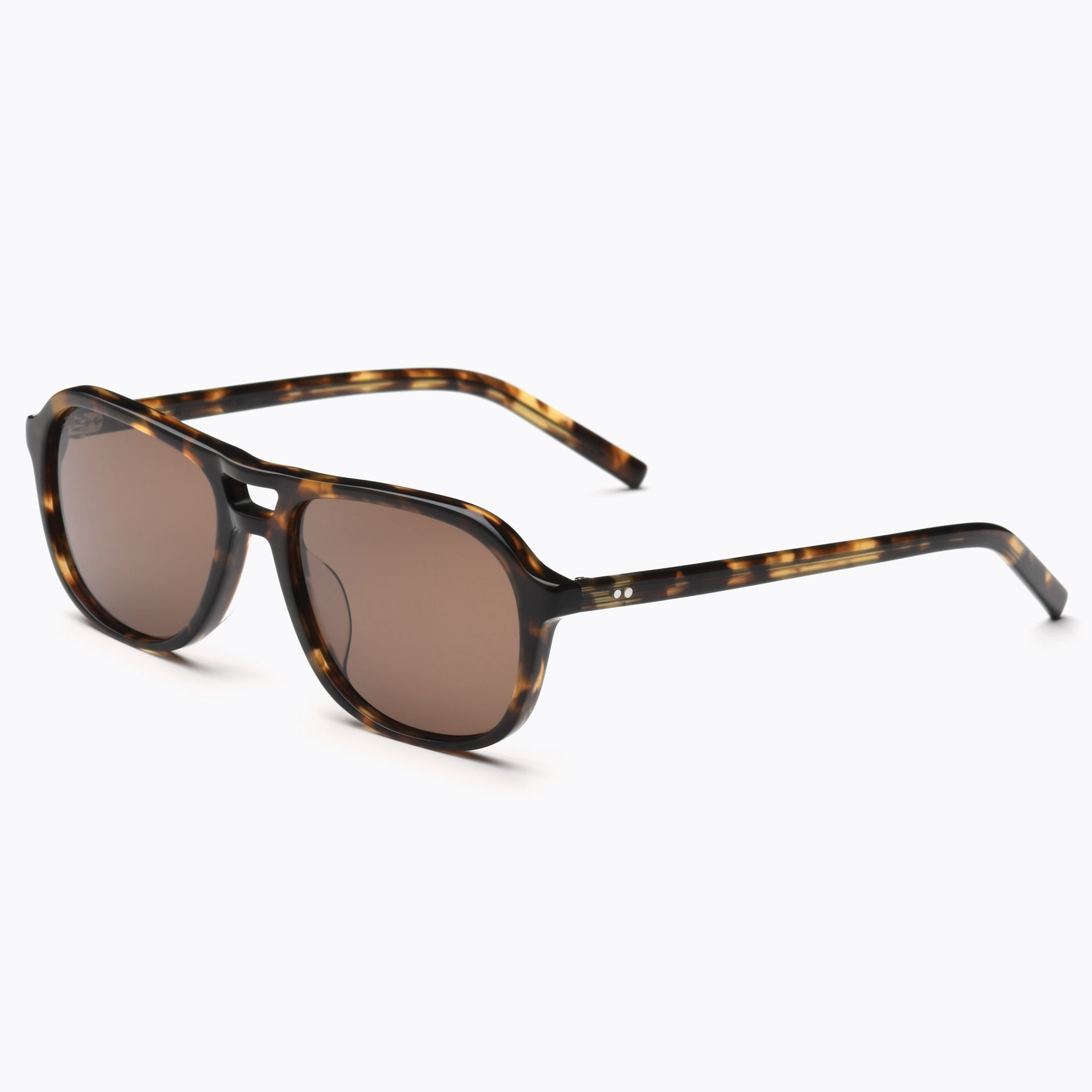 Tortoise / Brown