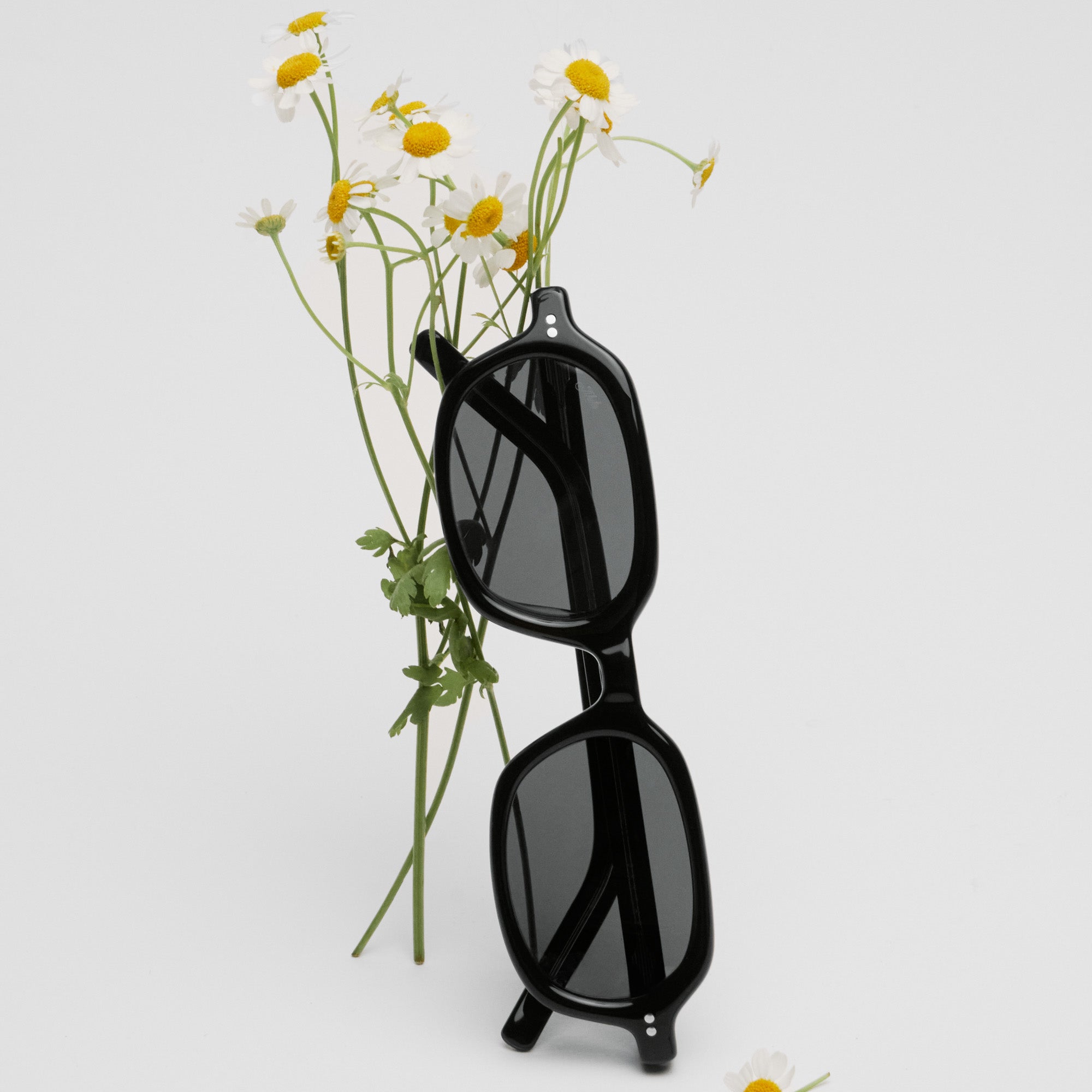 AKILA Eyewear Psyche Sunglasses