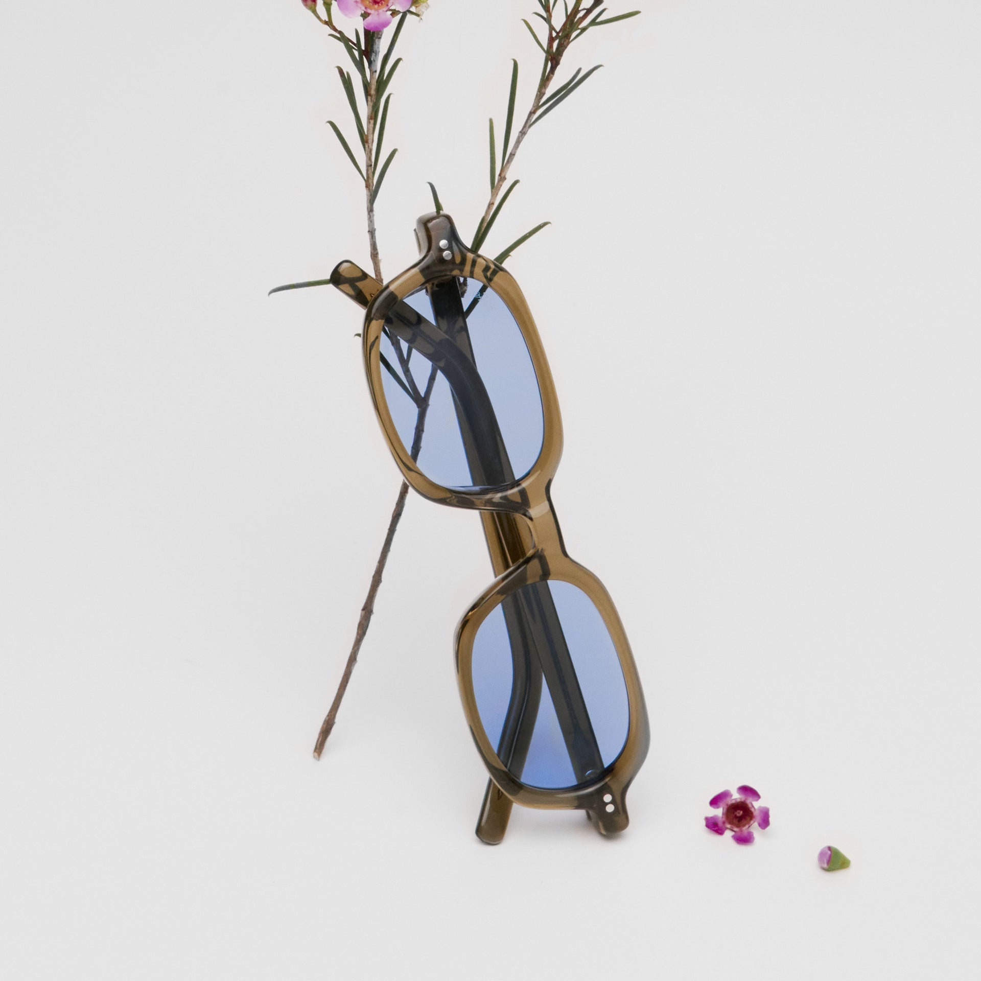 Olive Green / Sky Blue