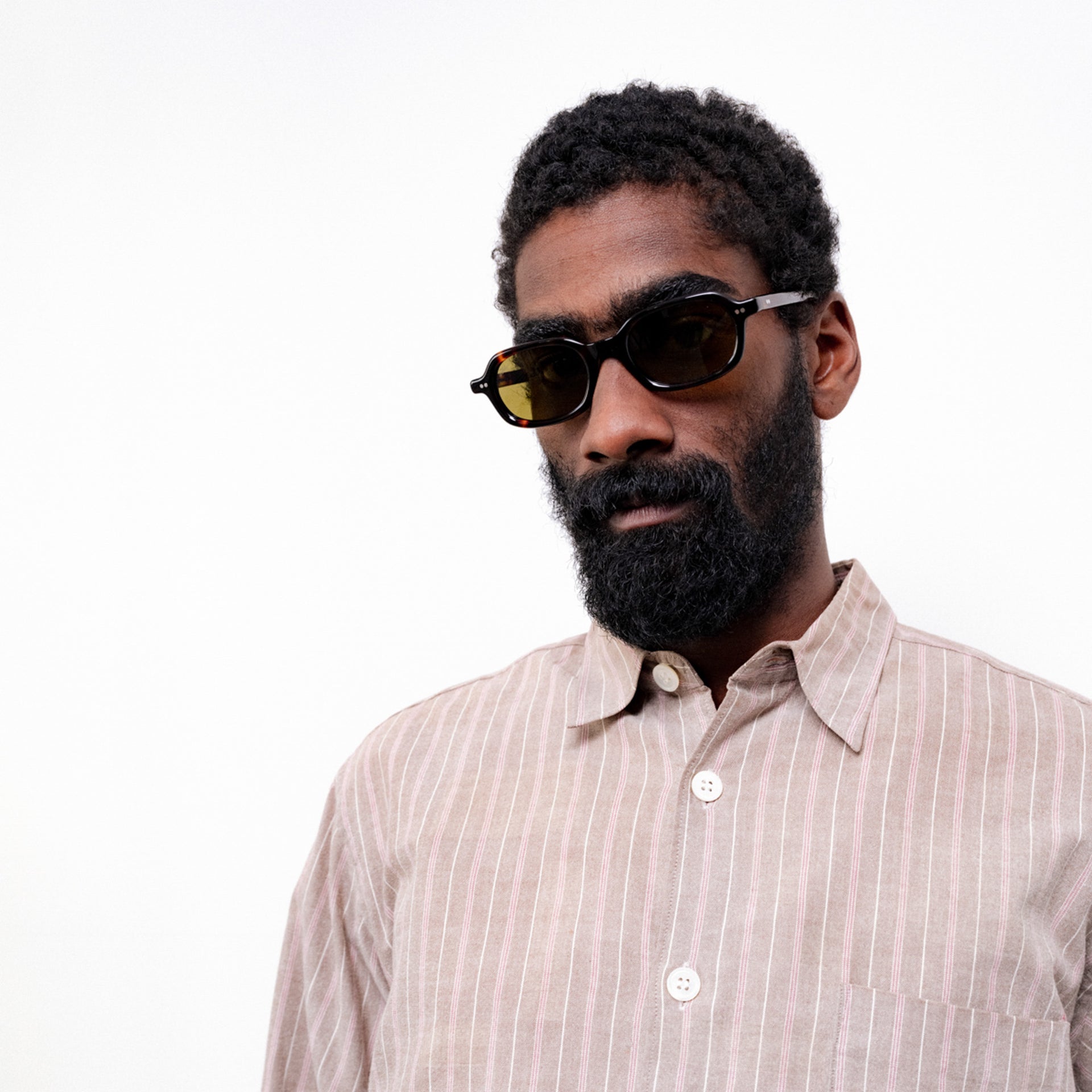 Tokyo Tortoise / Orange