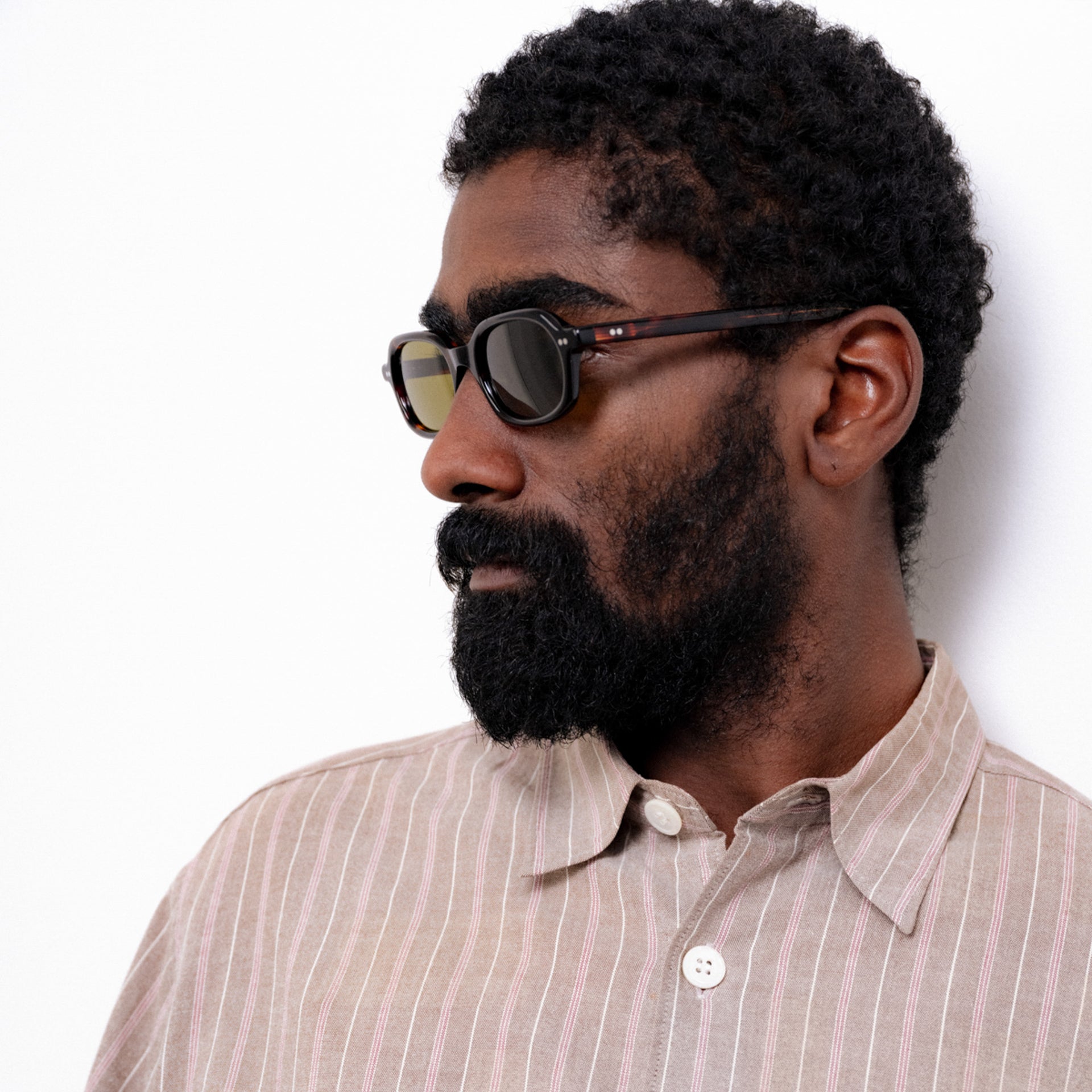 Tokyo Tortoise / Orange