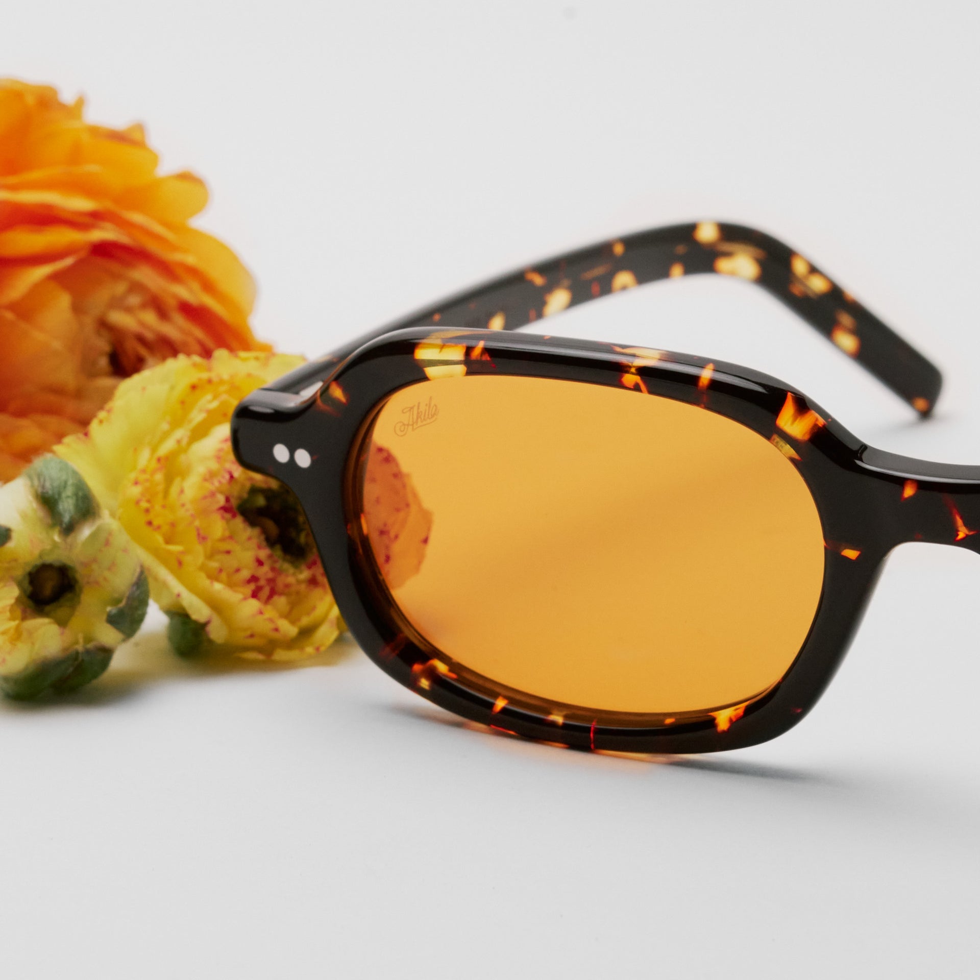 Tokyo Tortoise / Orange