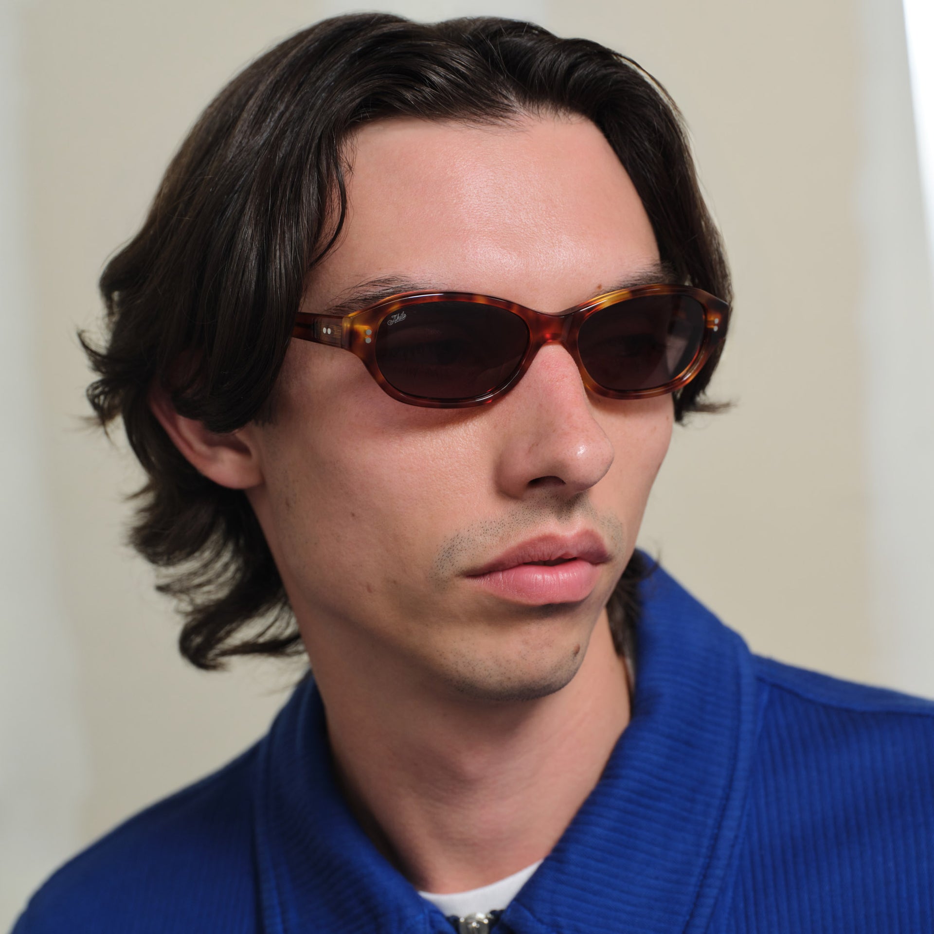 Toffee Tortoise / Asphalt