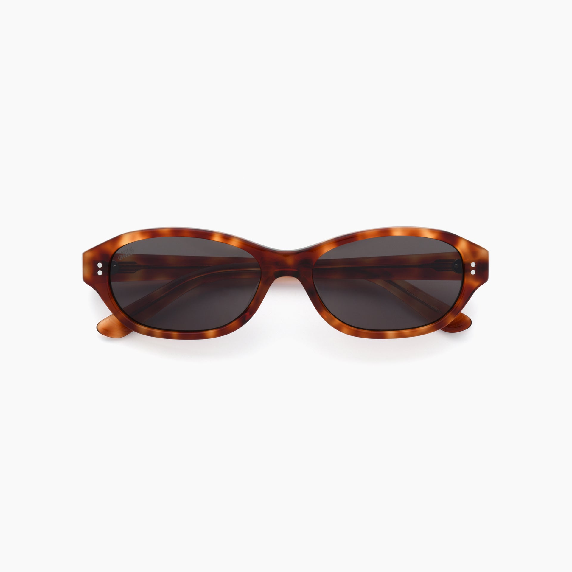 Toffee Tortoise / Asphalt