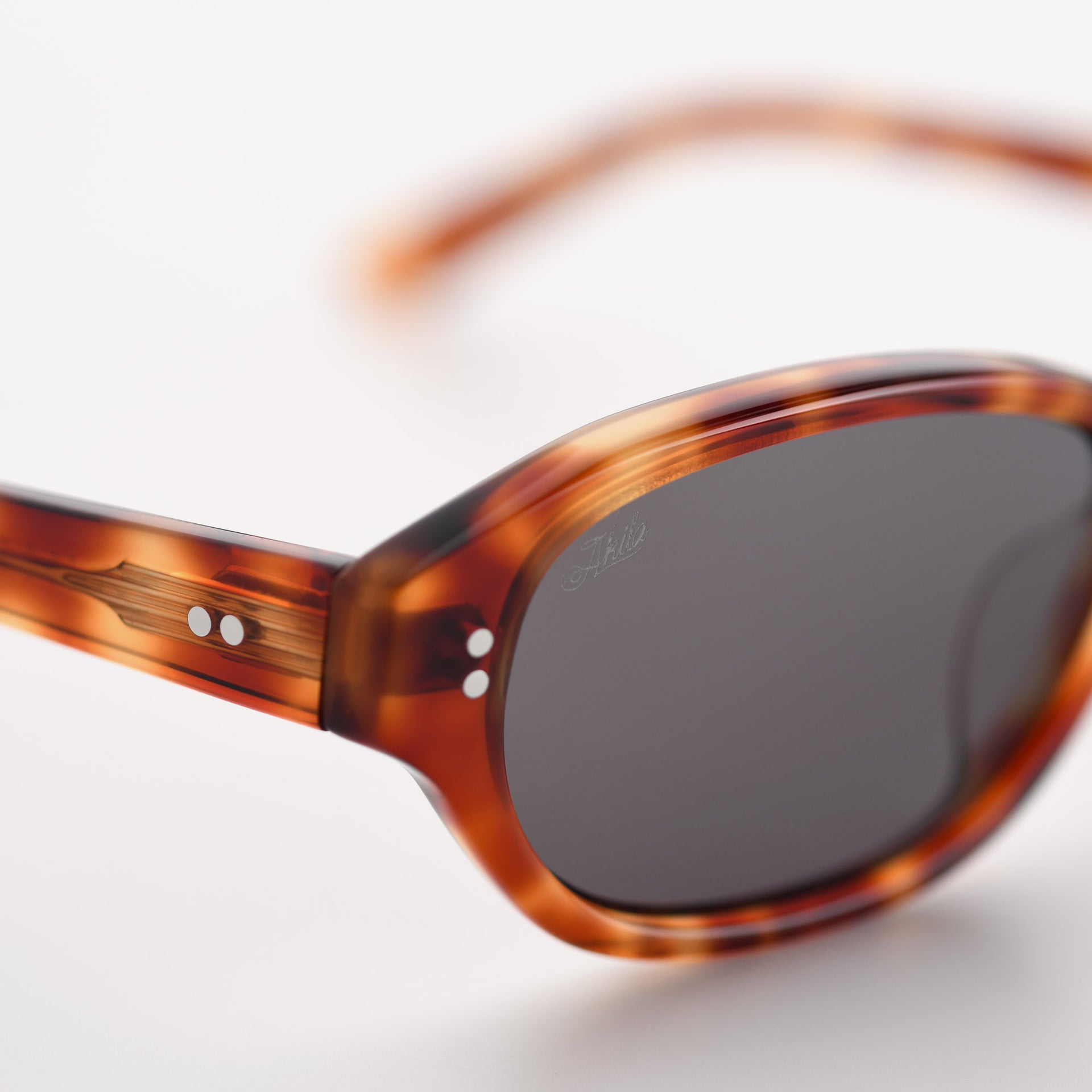 Toffee Tortoise / Asphalt