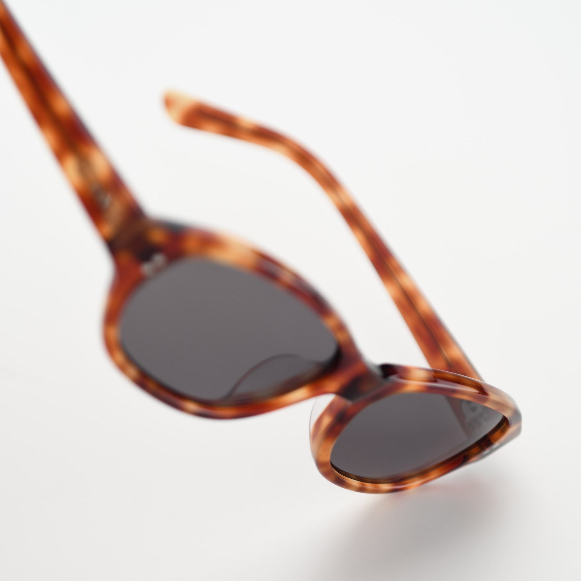 Toffee Tortoise / Asphalt