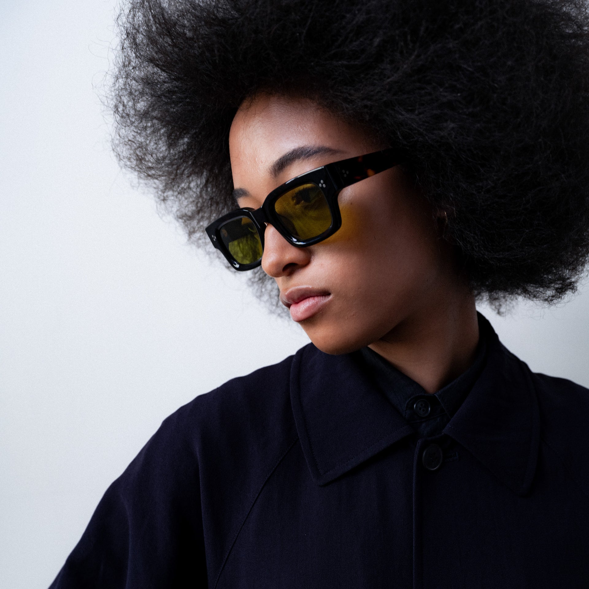 Tokyo Tortoise / Olive