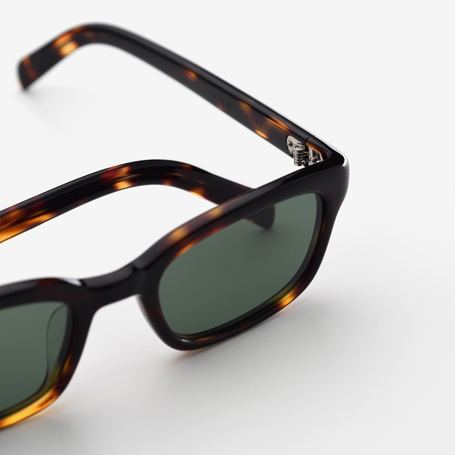 Brown Tortoise / Dk Green