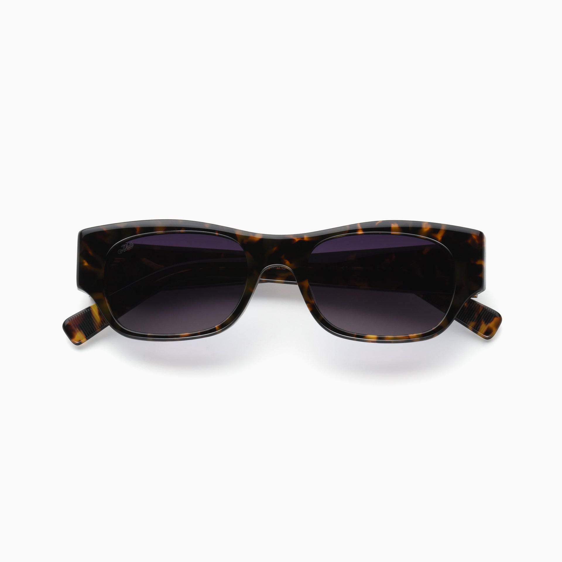Tortoise / Purple Gradient