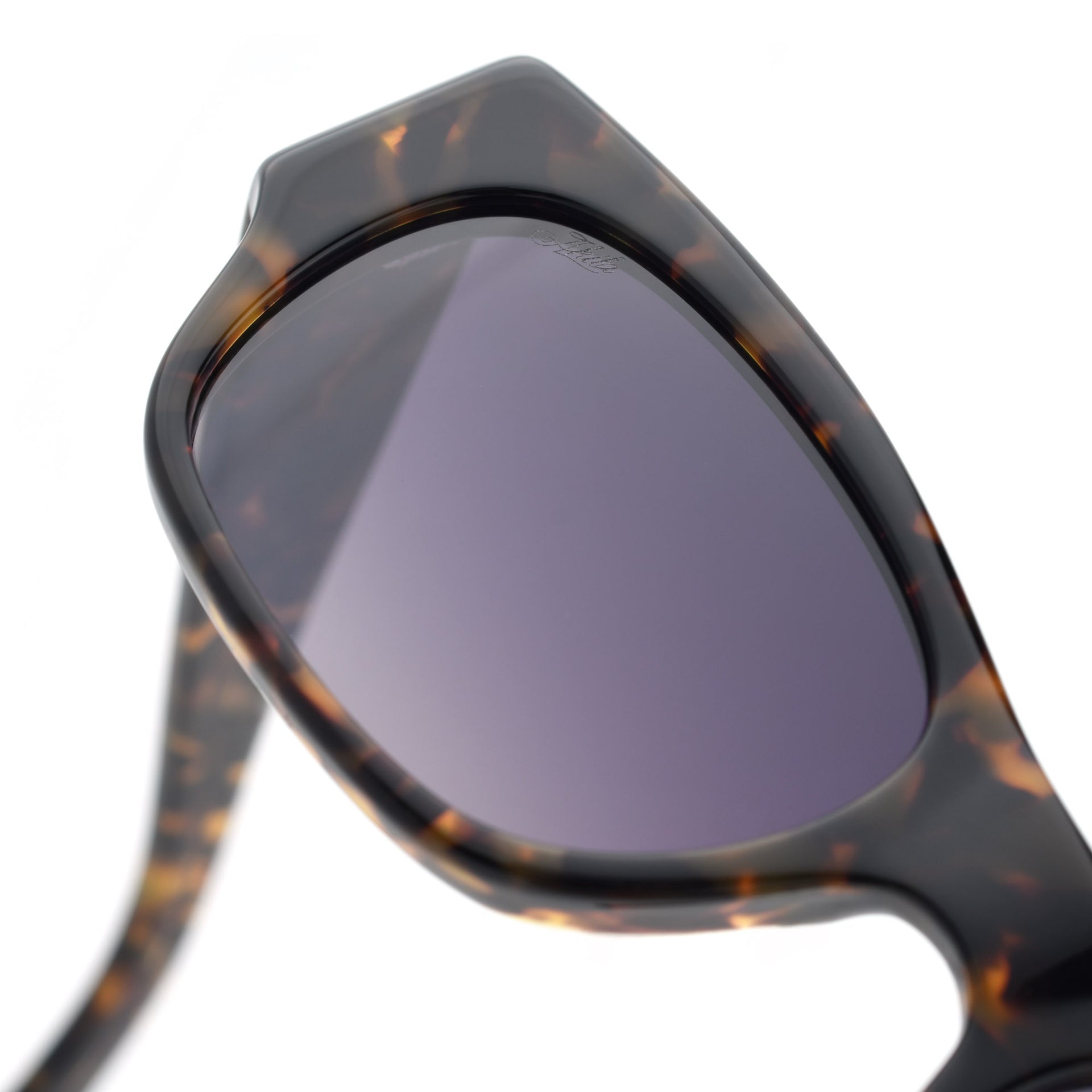 Tortoise / Purple Gradient